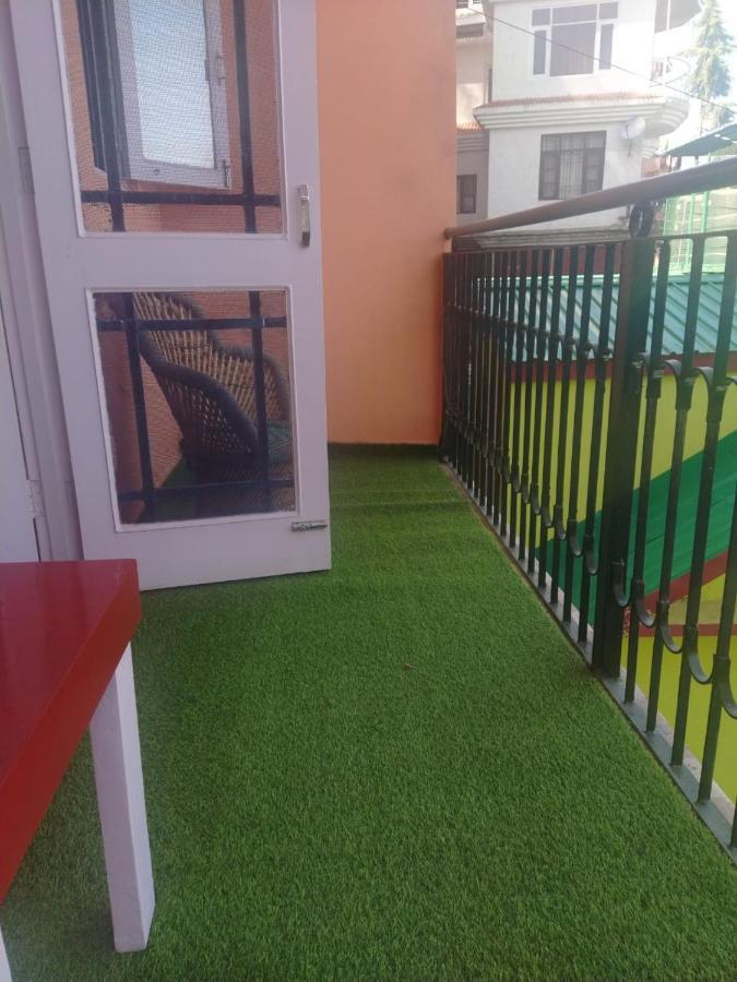 Deluxe Homestay Apartments With Kitchen In Shimla Eksteriør billede