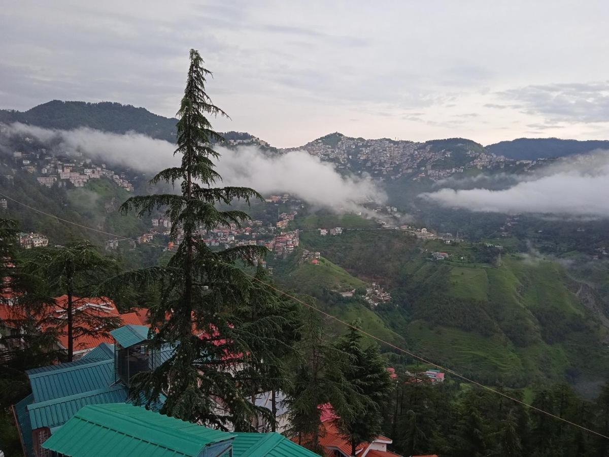 Deluxe Homestay Apartments With Kitchen In Shimla Eksteriør billede